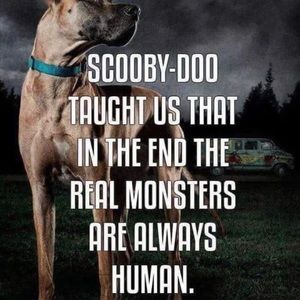 Meet your Posher, Steven j